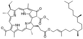 Bacteriopheophytin a 17453-58-6